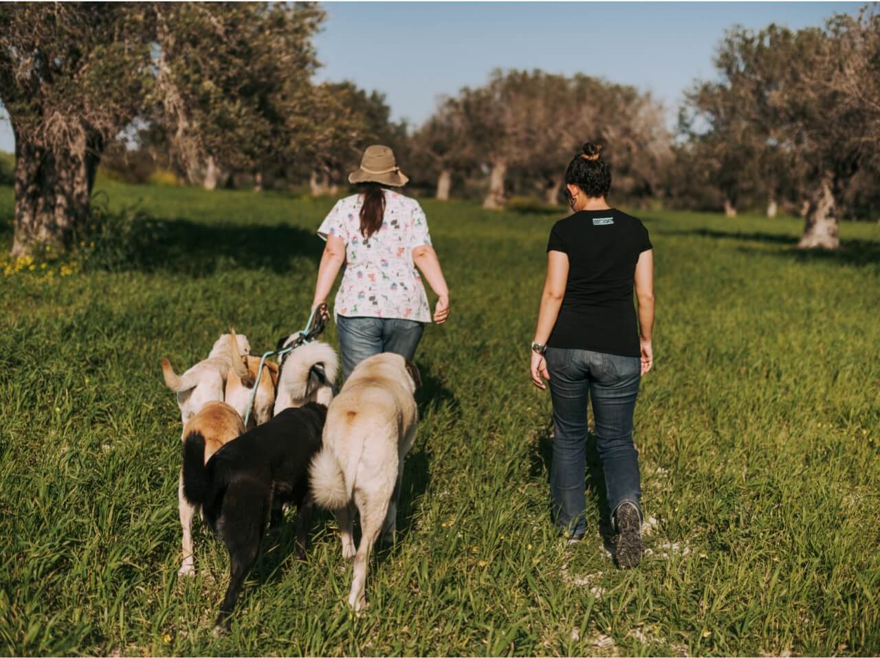 pexels-aysun-kahraman-öktem-5788341