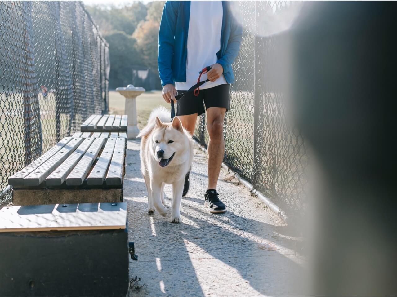 pexels-zen-chung-5749777